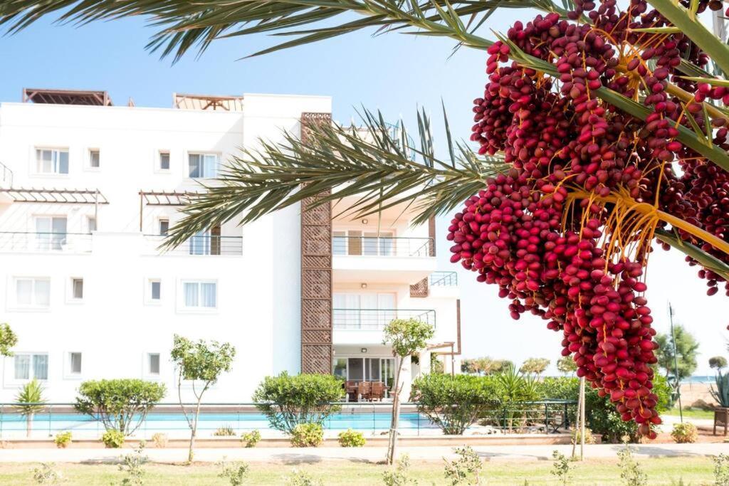 Private Beach Resort Cyprus Vokolidha Exterior foto